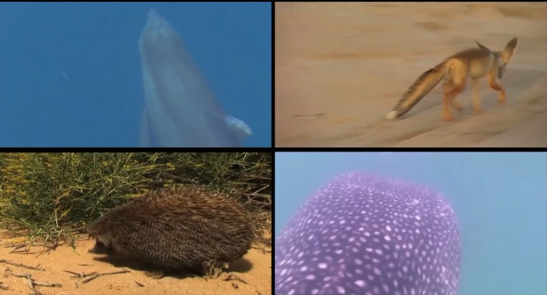 8188cc威尼斯(中国)有限公司官网