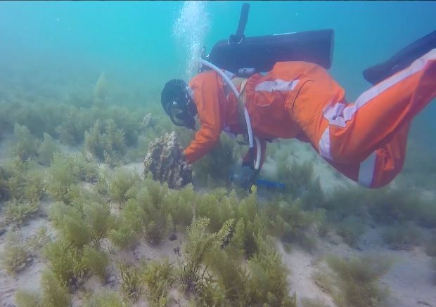 8188cc威尼斯(中国)有限公司官网