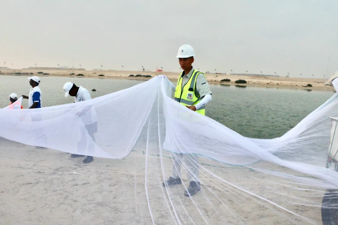 8188cc威尼斯(中国)有限公司官网