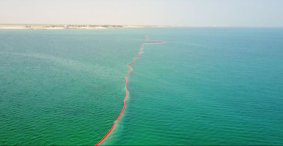 8188cc威尼斯(中国)有限公司官网