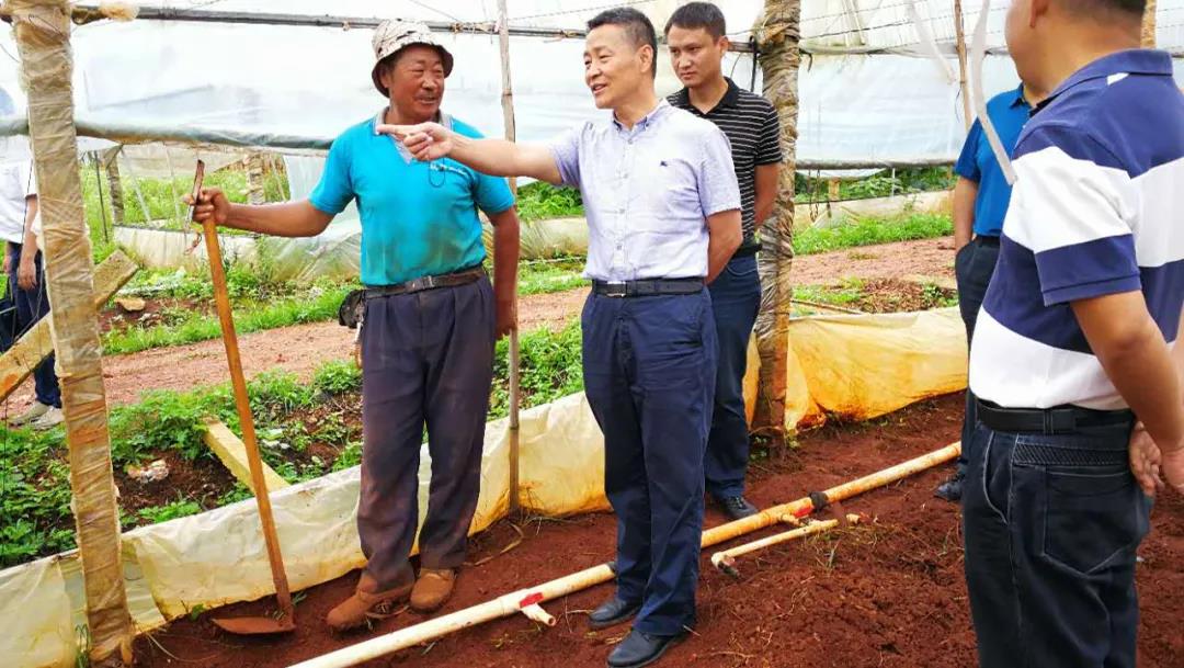 8188cc威尼斯(中国)有限公司官网