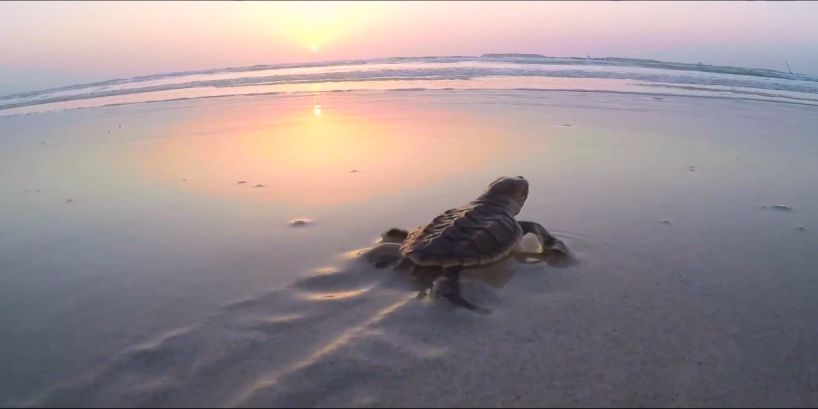 8188cc威尼斯(中国)有限公司官网