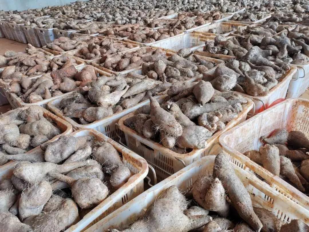 8188cc威尼斯(中国)有限公司官网