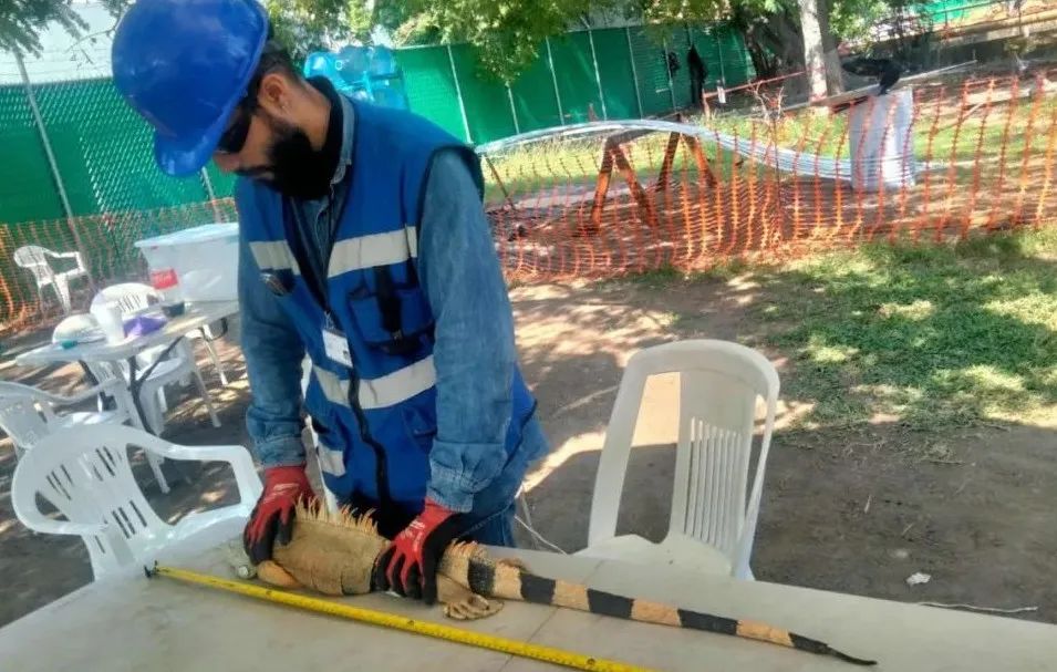 8188cc威尼斯(中国)有限公司官网