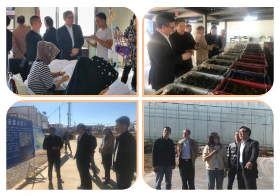 8188cc威尼斯(中国)有限公司官网