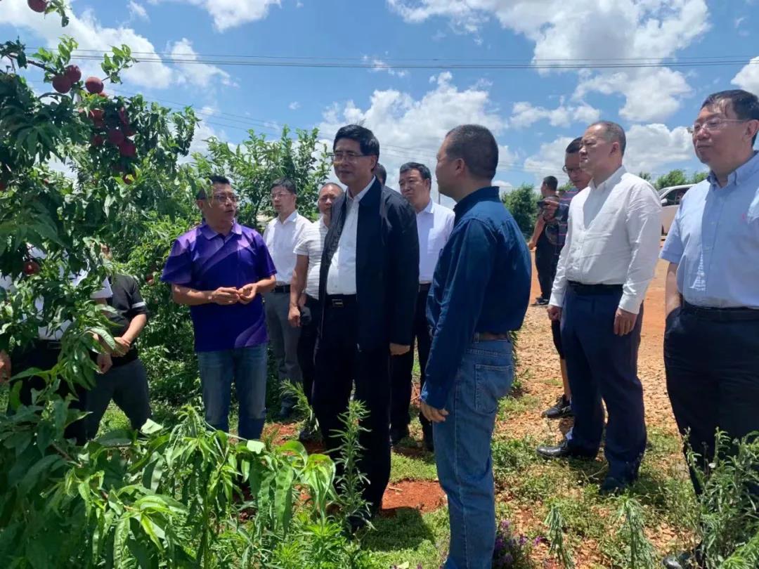 8188cc威尼斯(中国)有限公司官网