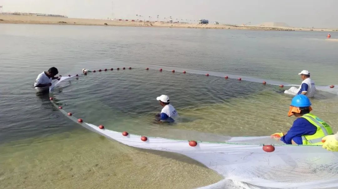 8188cc威尼斯(中国)有限公司官网