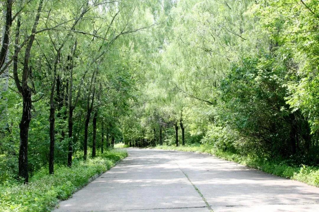 8188cc威尼斯(中国)有限公司官网