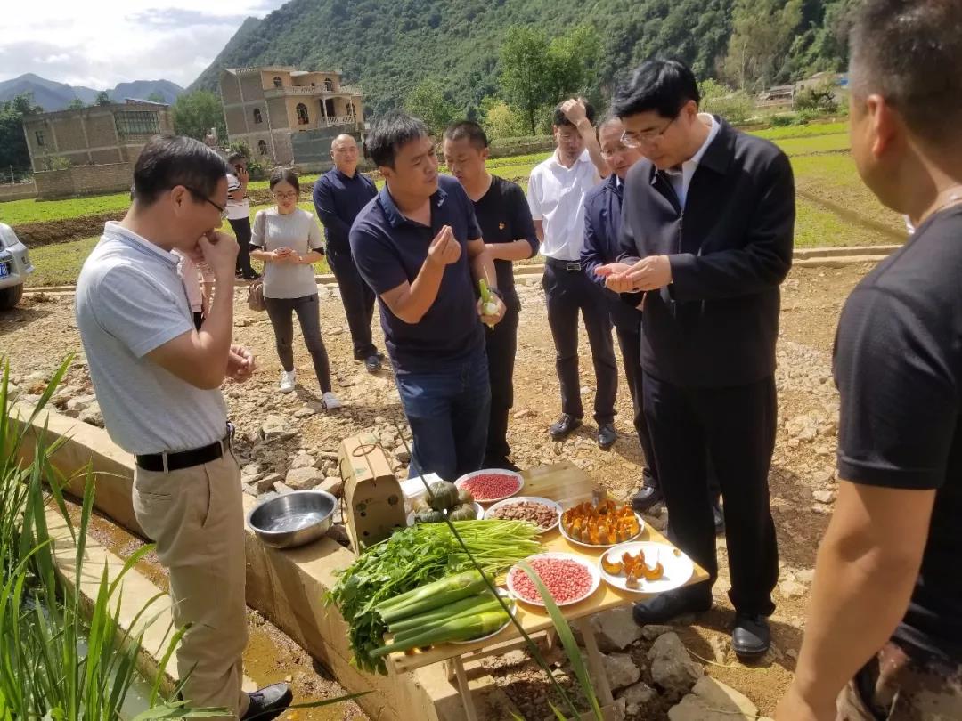 8188cc威尼斯(中国)有限公司官网