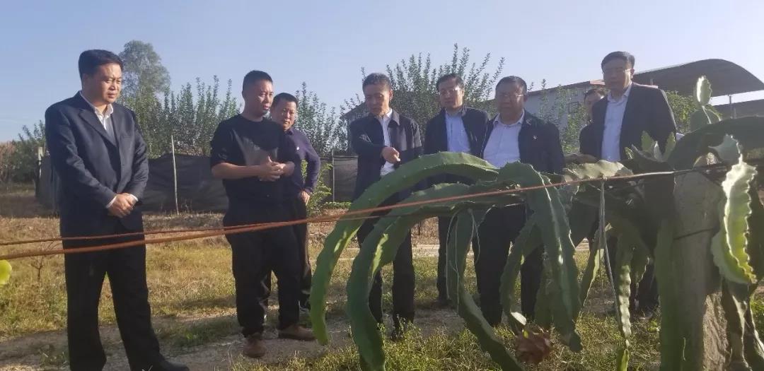 8188cc威尼斯(中国)有限公司官网