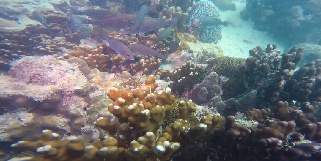 8188cc威尼斯(中国)有限公司官网