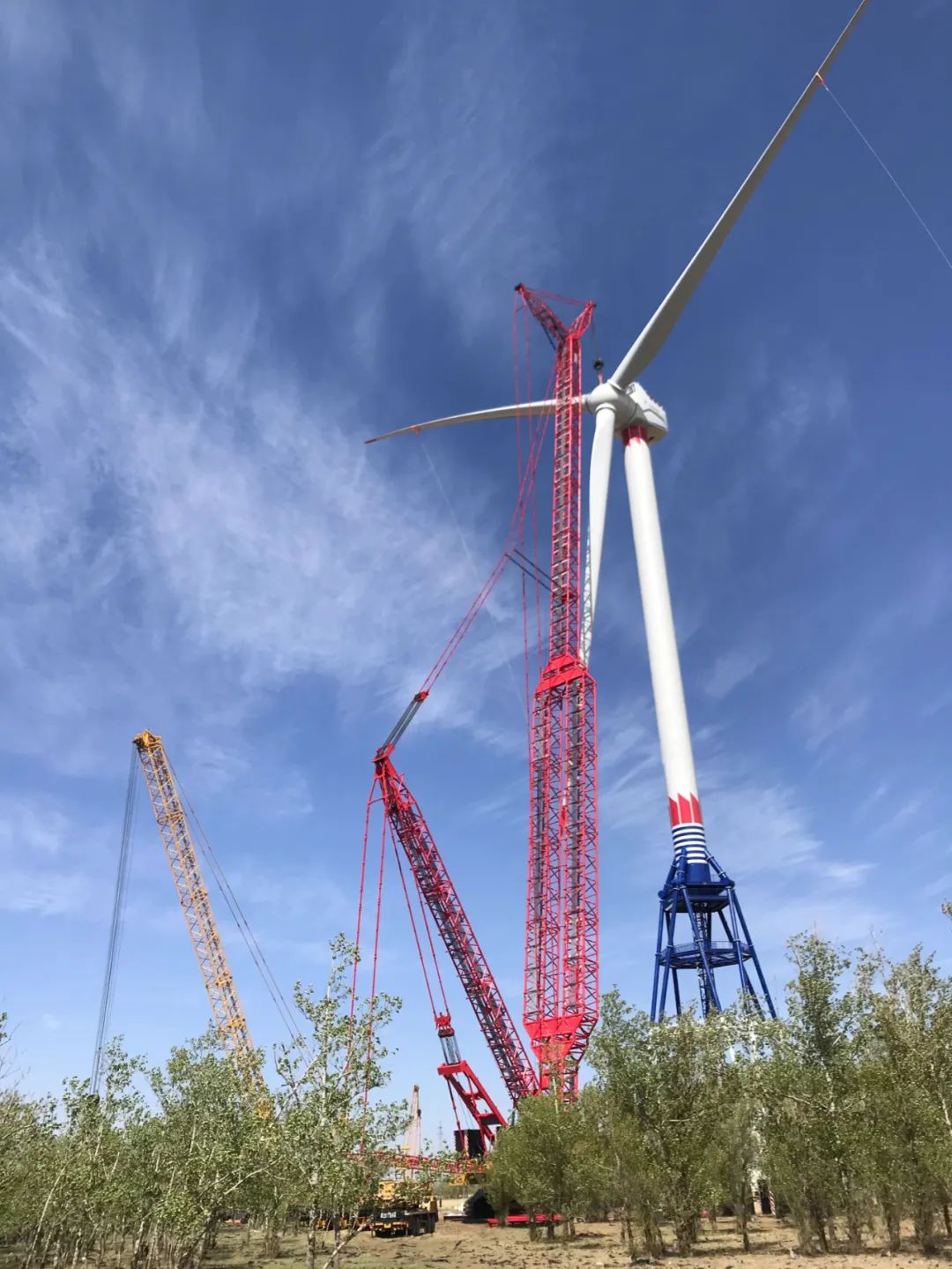 8188cc威尼斯(中国)有限公司官网