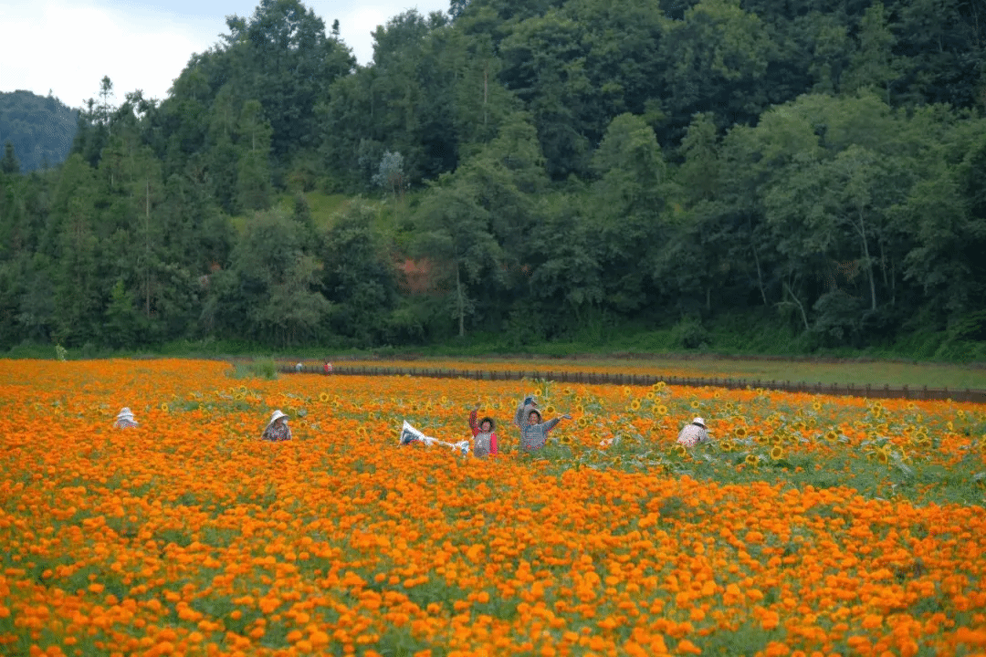 8188cc威尼斯(中国)有限公司官网