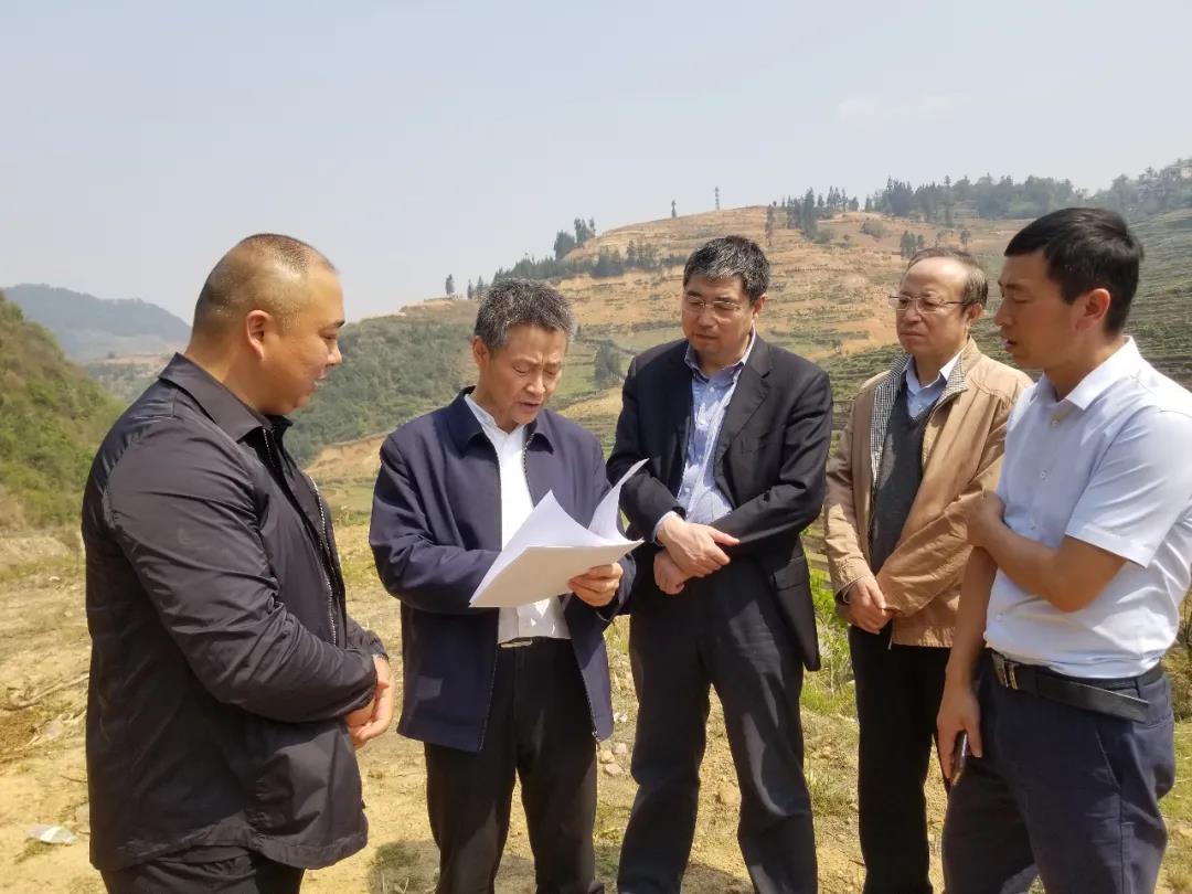 8188cc威尼斯(中国)有限公司官网