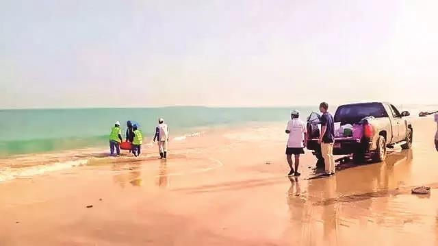 8188cc威尼斯(中国)有限公司官网