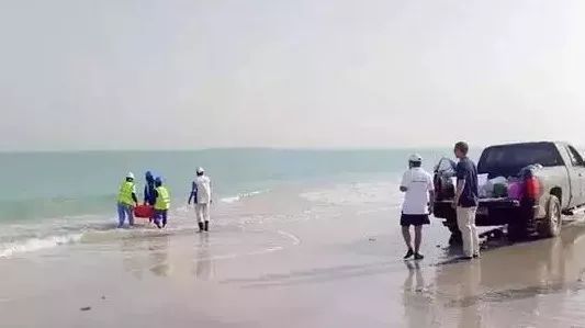 8188cc����˹(�й�)���޹�˾����