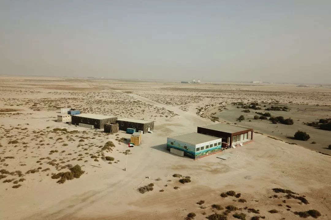 8188cc����˹(�й�)���޹�˾����